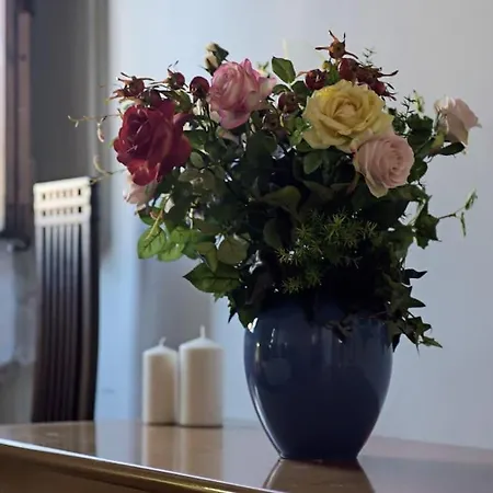 Apartment Cozy With Private Garden - City Center - *